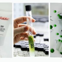 วว. ชูผลสำเร็จวิจัยพัฒนา ผลิตภัณฑ์เพื่อสุขภาพผิวจากสาหร่ายพันธุ์ไทย