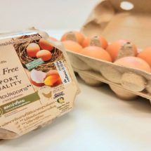 ซีพีเอฟ เพิ่มผลิตไข่ไก่ Cage Free ตอบโจทย์ผู้บริโภคใส่ใจสุขภาพ-สิ่งแวดล้อม