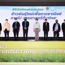 ครั้งแรก! สมาคมผู้ส่งออกข้าวไทยจับมือกระทรวงพาณิชย์ – เกษตรจัดประกวดเฟ้นหาสุดยอดพันธุ์ข้าวไทย