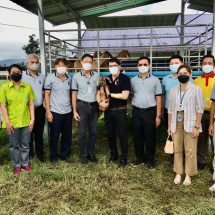 แพะใต้มีเฮ วช. ลงพื้นที่ จ.สงขลา หนุนวิจัยเลี้ยงแพะ ม.อ.ครบวงจร บุกเบิกผู้เลี้ยงรายใหม่ ต่อยอดเชิงพาณิชย์