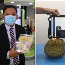 วช.หนุนงานวิจัยม.นเรศวร ตรวจคุณภาพทุเรียนไม่ทำลายผลผลิต ด้วยเทคนิคเนียร์อินฟราเรดสเปคโทรสโกปี
