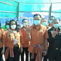 สธ. เผยผลวิจัย นโยบายกัญชา 6 ต้น สร้างกำไรให้ชุมชน ตั้งแต่รอบแรก