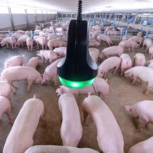 มาตรฐานสวัสดิภาพสัตว์ เพิ่มความปลอดภัยอาหาร ด้วยระบบ Smart Farm