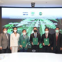CPF ผนึกพลัง GUNKUL -CPP พัฒนาอาหาร-เครื่องดื่มจากสารสกัดกัญชง รับเทรนด์สุขภาพ