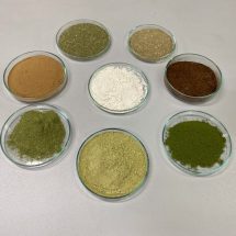 วช.หนุนงานวิจัยสารสกัดสมุนไพรต้านไวรัสโคโรนาสายพันธุ์ใหม่ 2019