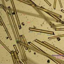 วช.หนุนทีมวิจัย ม.เกษตรฯคิดค้นนวัตกรรมเส้นใยจากเถ้าลอยโรงไฟฟ้าถ่านหิน