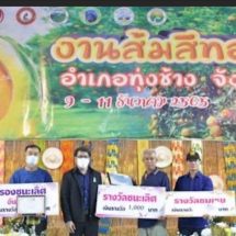 วช. ร่วมจัดงาน “ส้มสีทอง” จังหวัดน่าน ประจำปี 2565 ผลักดันส้มสีทองสู่ตลาดสากล