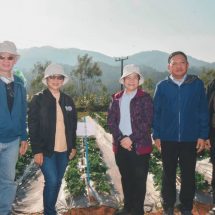 วช.พร้อมส่งสตรอว์เบอร์รีพันธุ์ 89 ออกสู่ตลาดปีหน้า