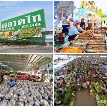 อาณาจักรค้าส่งผัก วัตถุดิบ อาหาร เจ ครบจบที่ตลาดไท. พร้อมสำหรับเทศกาลกินเจ ปี 2567 ราคาขายส่ง เปิดทุกวันตลอด 24 ชั่วโมง