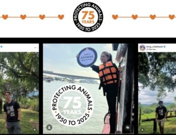 ดารา-คนดัง ร่วมฉลอง 75 ปี World Animal Protection