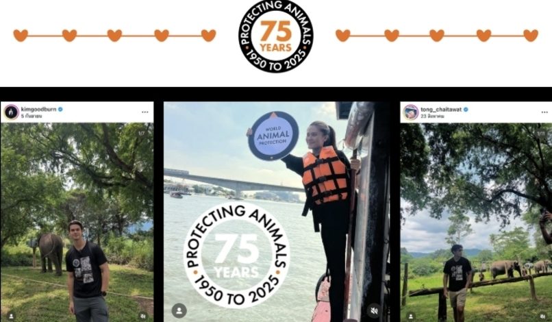 ดารา-คนดัง ร่วมฉลอง 75 ปี World Animal Protection